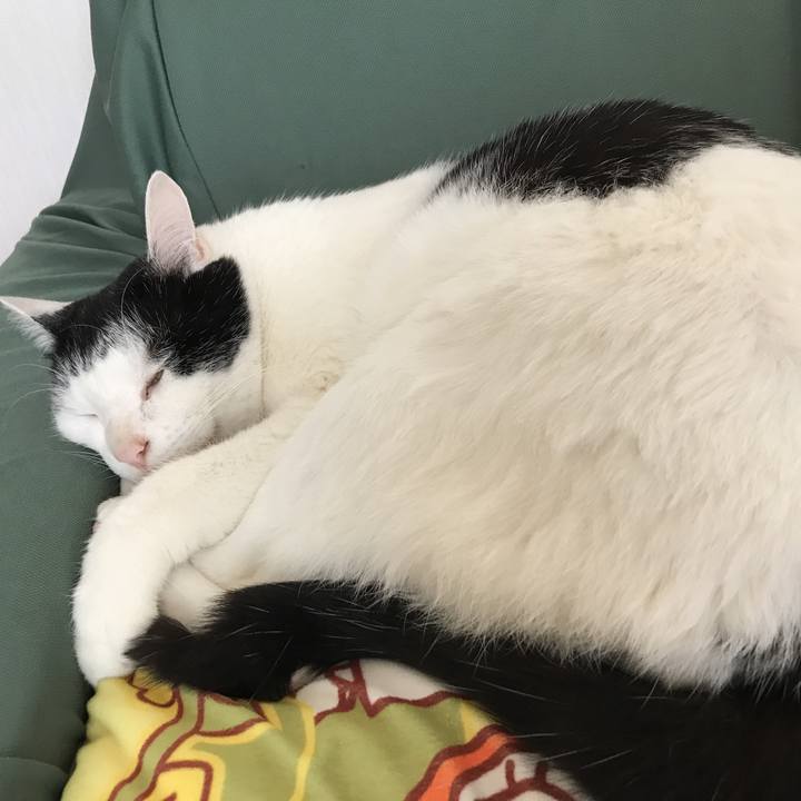 3cd096c0 732a 46d3 9f03 3d0e50c39c57 1561344550929