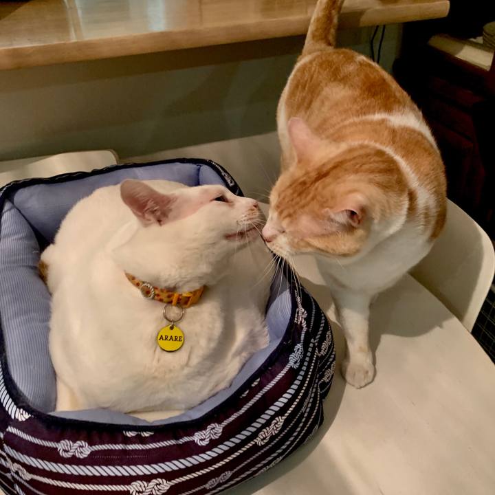 3cd0a1cc 6ce3 4a7d 89db 3559b7932dce 1600097049501