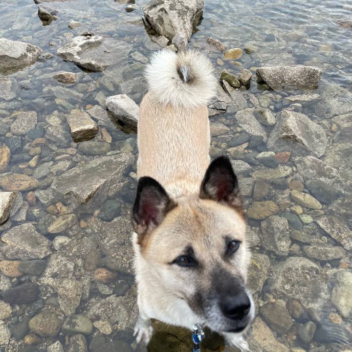 3cd0ae77 0781 460a bfb5 5b0908e1047e 1663411073828