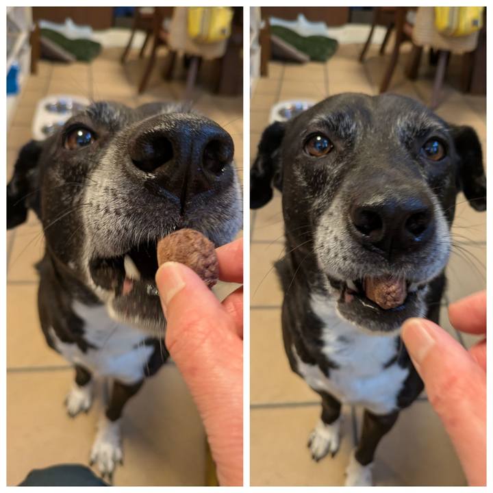 3cd1416b 3efa 4de9 b892 e6762fb73928 1748170473683