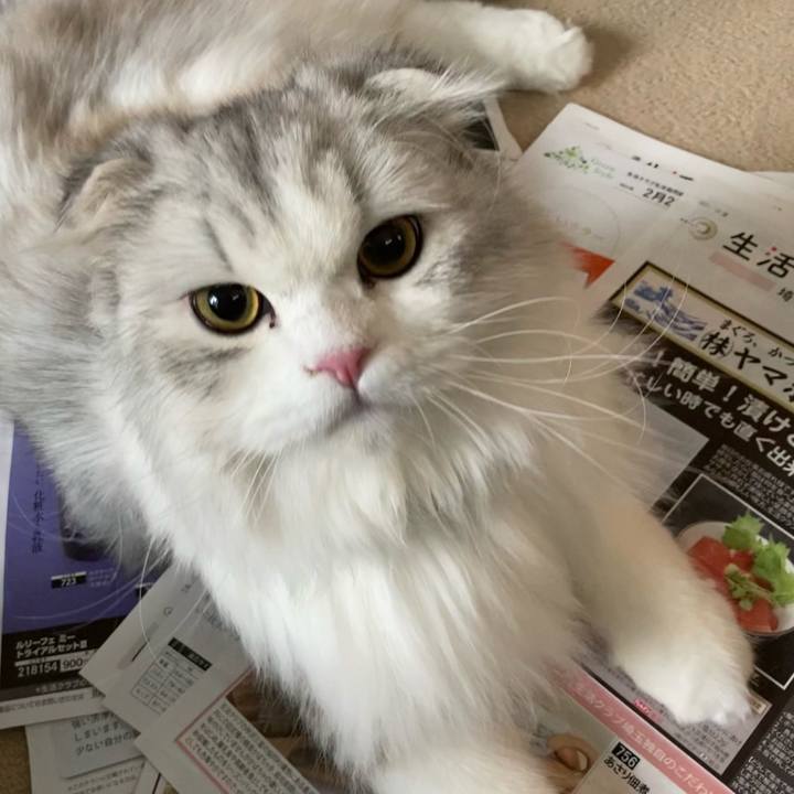 3cd1cf5e 39da 425c af0d baac8d8fc72c 1611752330565