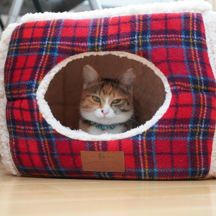 3cd1d9ed 07ad 4ad1 a339 c4cbaa8f2a21 1581465783474