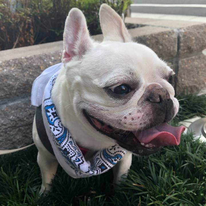 3cd1ede3 8a7e 4f1e 8148 7e4bc4e9d29d 1566704038875