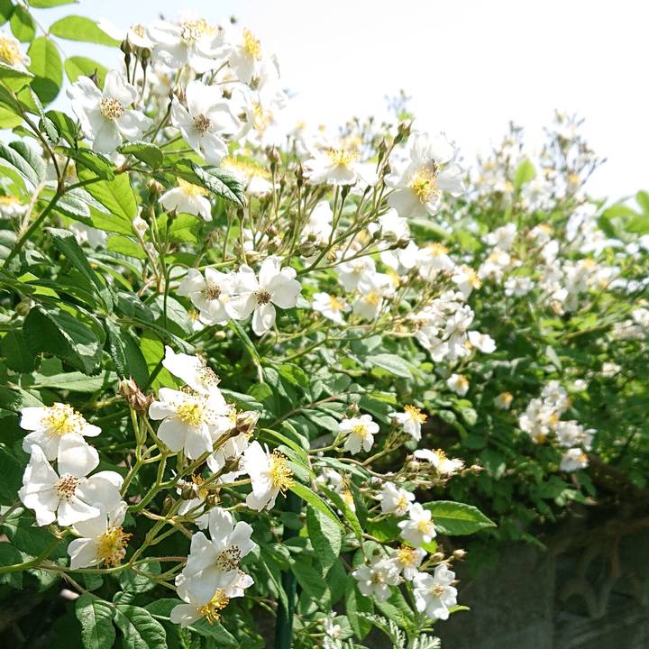 3cd20f7f d44c 4f69 91f3 327bce003452 1651115860854