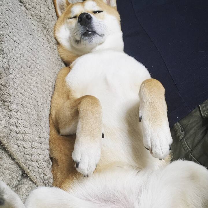 3cd2220a d3d5 441d b287 4224d93243e7 1518976281088