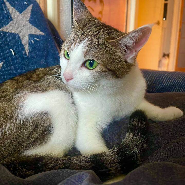 3cd225e6 c200 4705 ba39 d7f148d89278 1627461969075