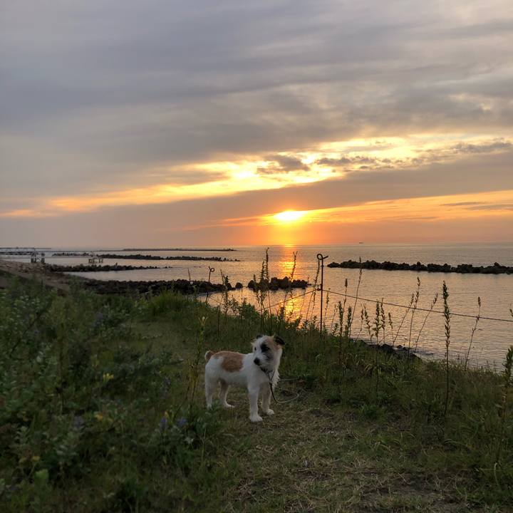 3cd22b02 8788 4dac b632 28b38d6c2e01 1600590371211