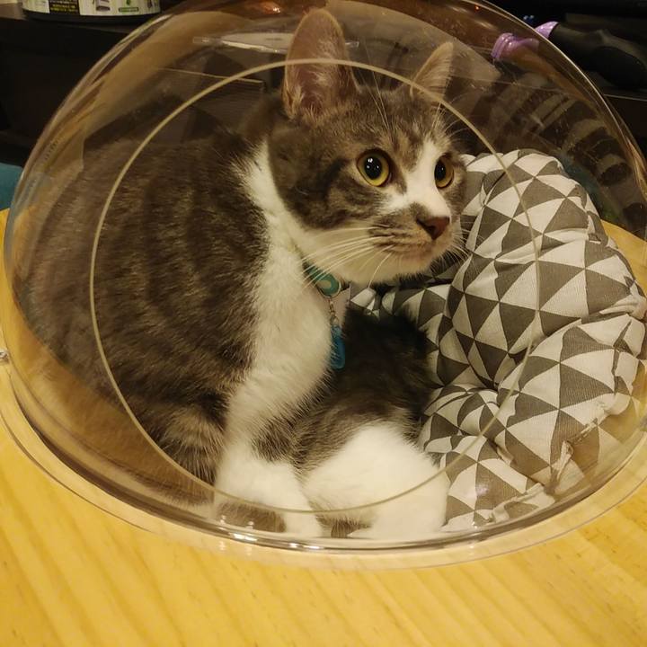 3cd235f2 cb81 47f7 a3c9 70e952b20acc 1580130473886