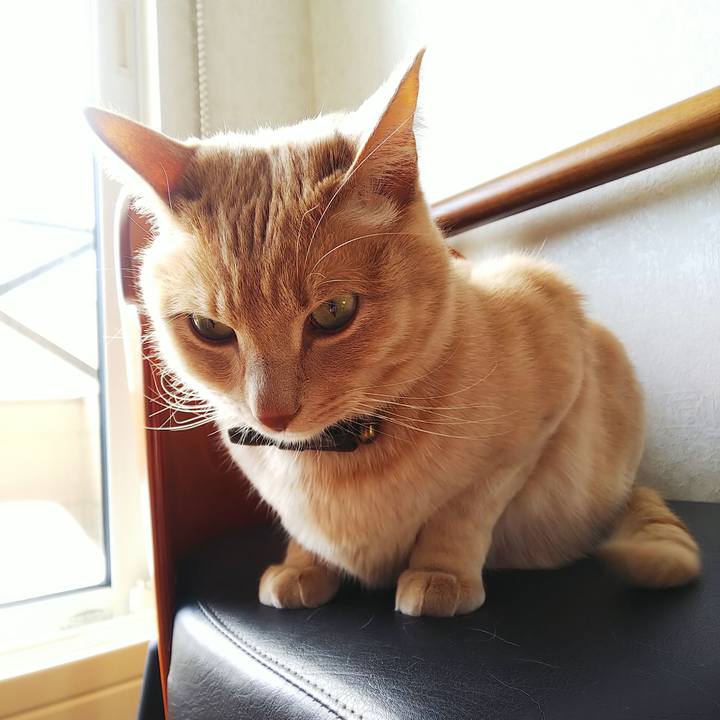 3cd311da cf41 461d 89ab 9234af923626 1643520926000