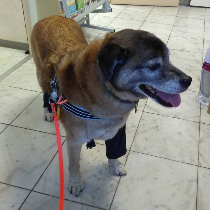 3cd3575c ec7e 4ff9 8980 6f59b016cdcb 1564138374609