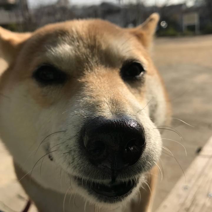 3cd361ff a5de 43b8 a9c9 a7fc54e1a2a3 1520930456631