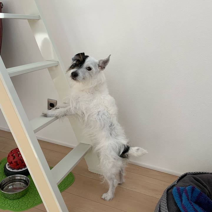 3cd3f221 52ee 4df2 805d 0305bb37aeac 1674185120038