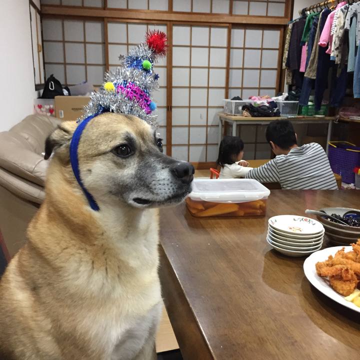 3cd404eb faf1 4e7c b0c6 63abb4c6a314 1514647013088