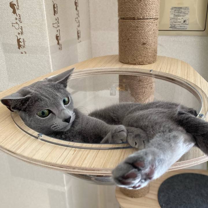 3cd41979 b20b 4d2f 90be 3ee6535986a0 1647662099954