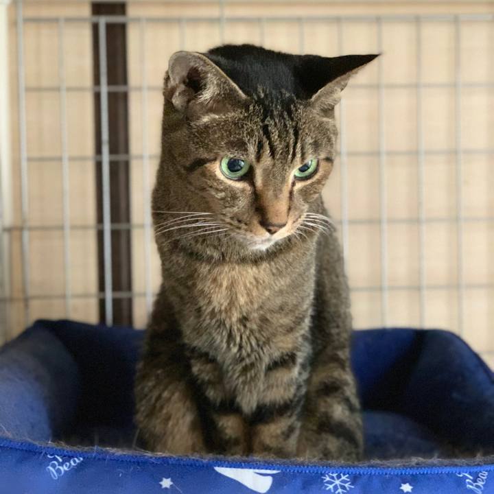 3cd42409 7b70 416b bdc0 74aa005601ce 1569113905315