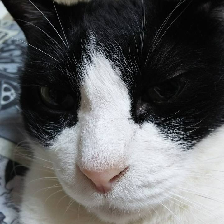 3cd42637 77c9 41b7 a081 910cb3dd3d4e 1532741666188