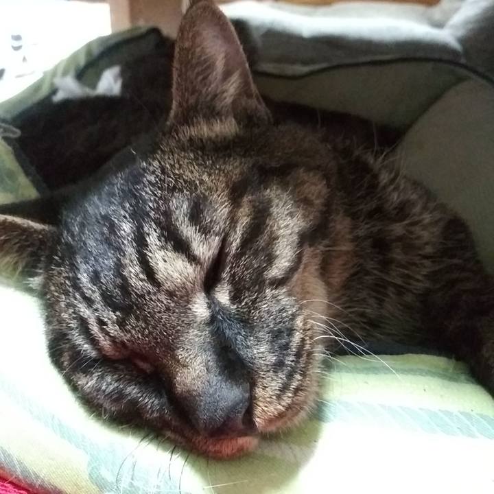 3cd42bb6 66a8 4831 8f4f b7c71427608e 1621312521181