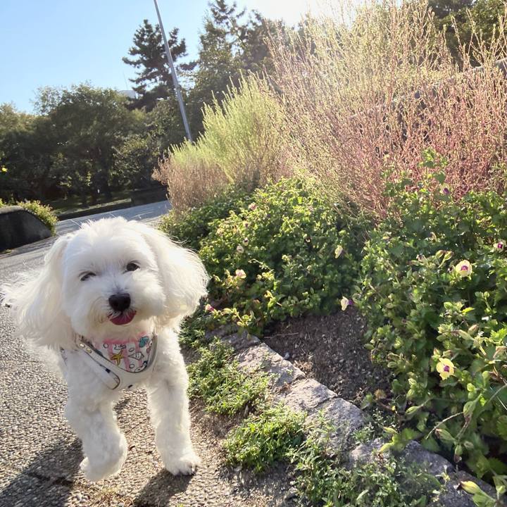 3cd42e2b 7d04 4247 b5d1 86aedabeeb2d 1634280687942