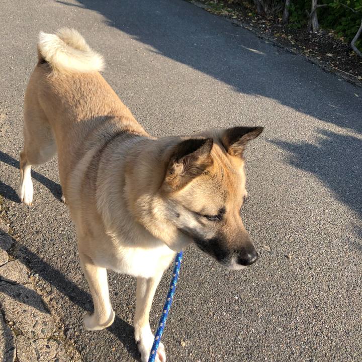 3cd45df3 3b84 480b a49a eaee4f82627d 1618835370183