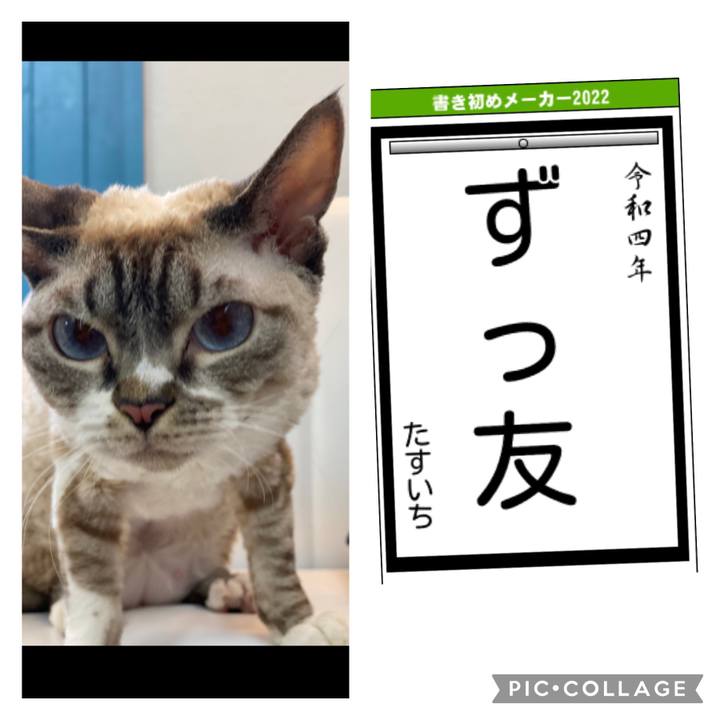 3cd49cec b6bc 46a8 a9be 9e35cb2f9632 1641101683373