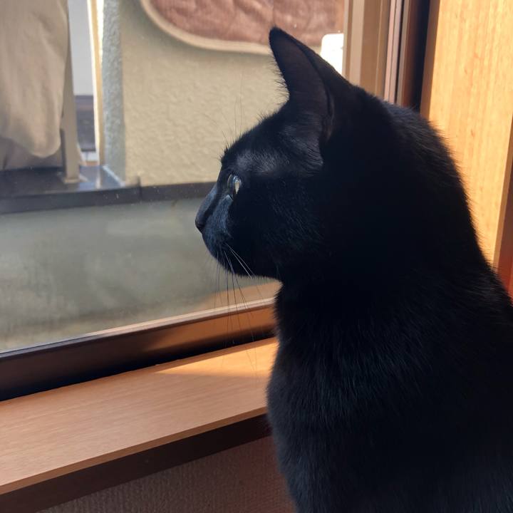 3cd4c41e 9b90 401c b326 5adfcd2f203e 1518833870360