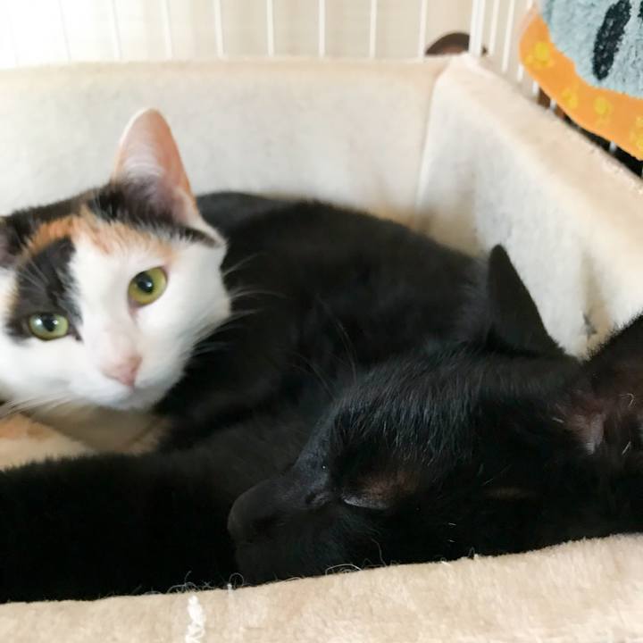 3cd4d475 b373 4723 9197 92ba0cf3e2f1 1519779823039