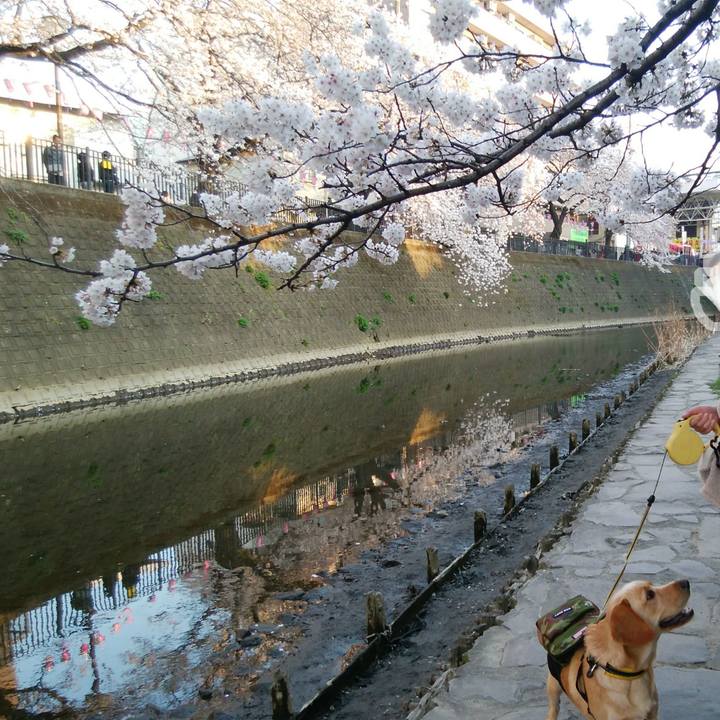 3cd4d8a9 577e 4ef6 8694 1c5784473dc2 1522056635058