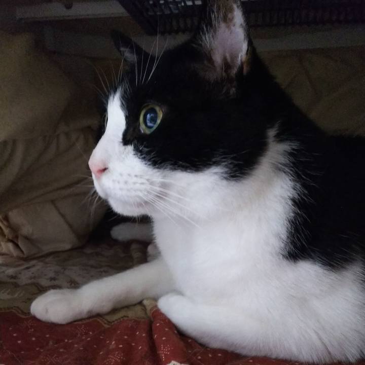 3cd5038a ef7a 4c6d b805 941add9a59b2 1555327741296