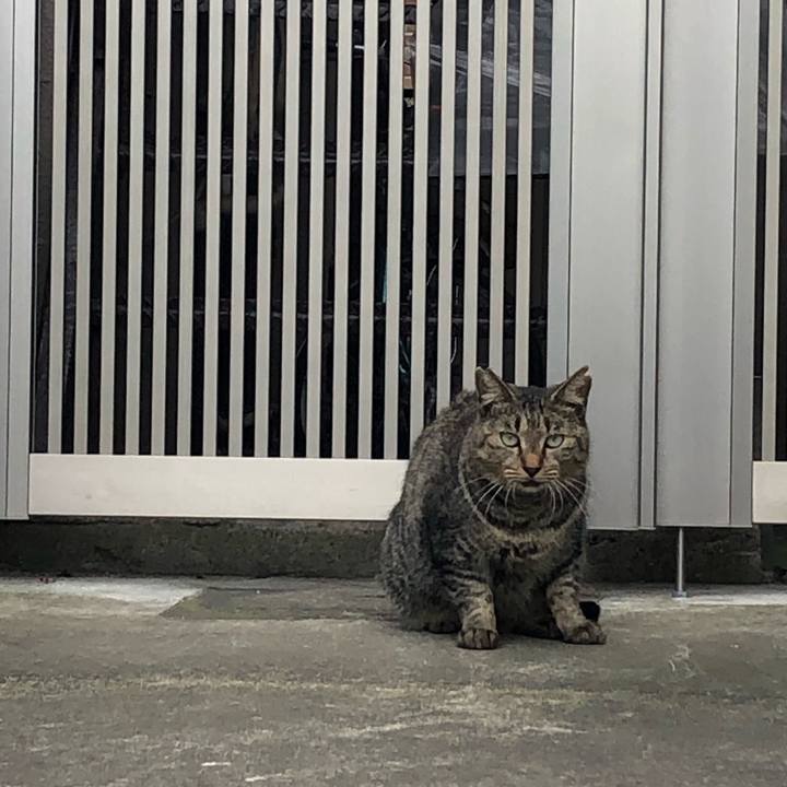 3cd51600 7276 47dd a5cc 92f25342106b 1568467808819