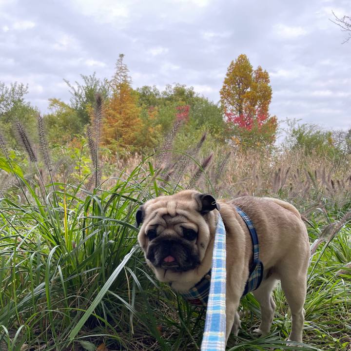 3cd53589 29f5 47e3 a0ed e7e9813b087a 1731553169818