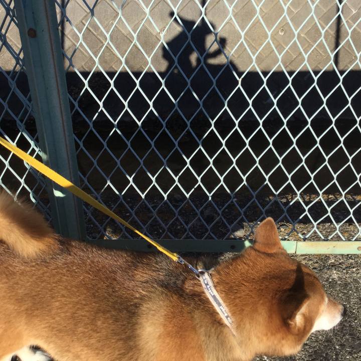 3cd57e6d de03 4e58 baec f6c4b54a2e16 1548035060443