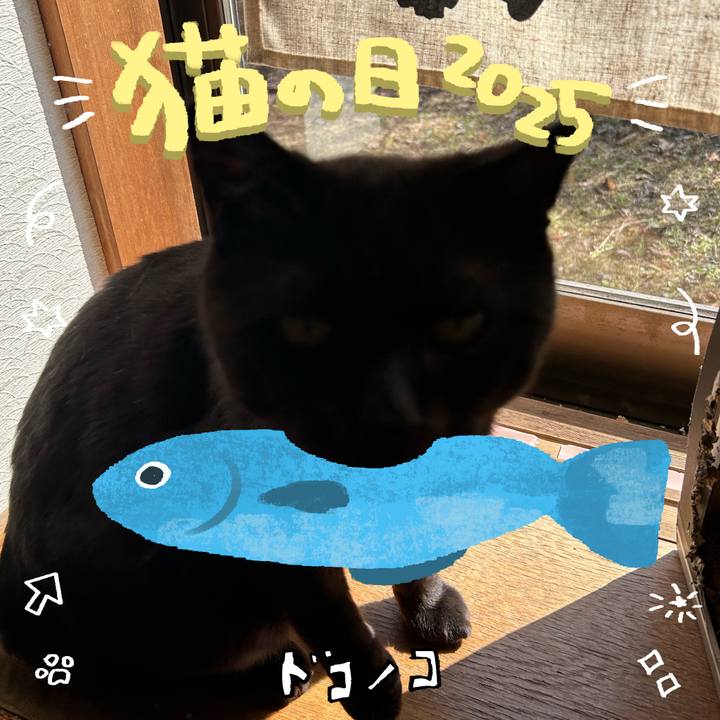 3cd5aeba c72c 4094 bdf8 3a1f7e3a97af 1740197860620