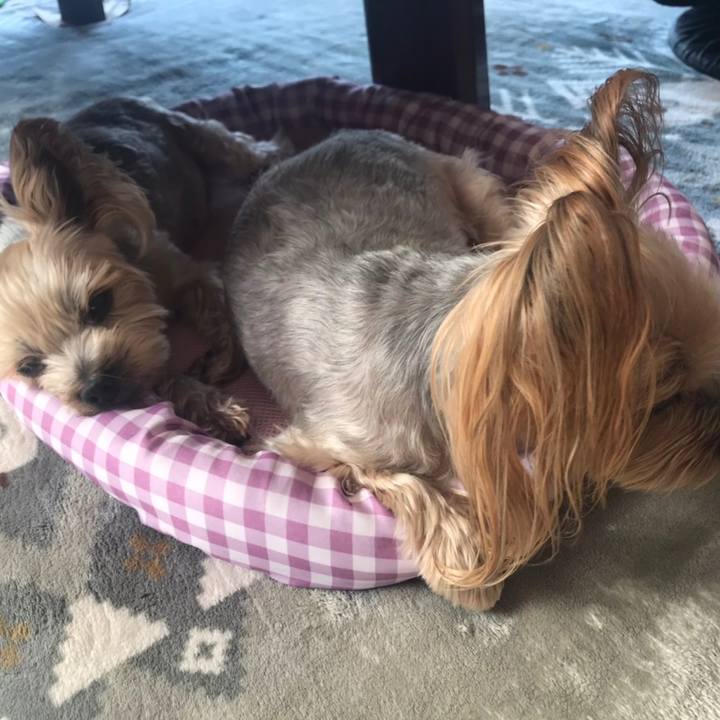 3cd5c301 0f58 4343 b7ec cc530aeedb3f 1585902220878