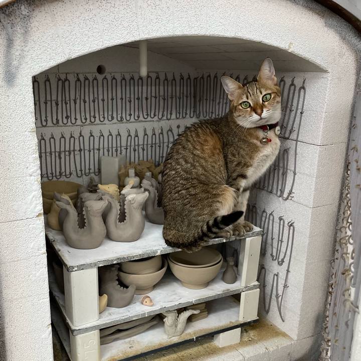 3cd5c75d 0931 46b7 aa06 8b65ef56928e 1700974583785