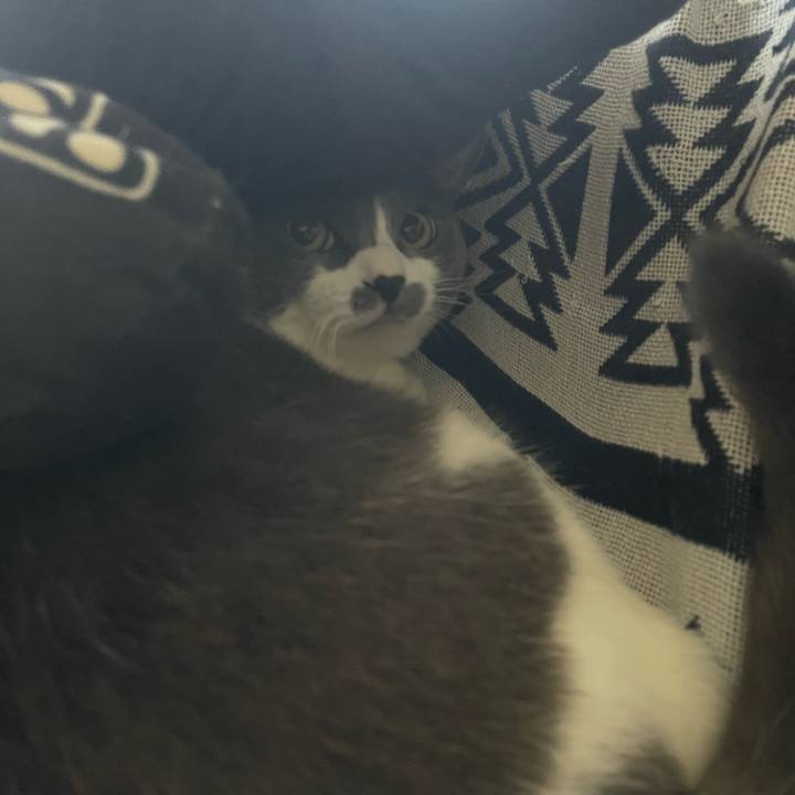 3cd5f72b 44e3 46c3 969a 229f4141e4a6 1752390259949