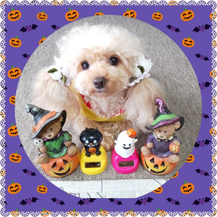 3cd64920 da04 4f40 a40d c2997ef279dd 1572522789400