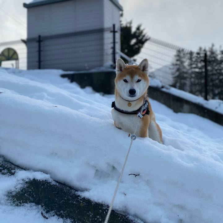 3cd676ba 17ba 4518 8480 6fd1767cf3e9 1612223850369