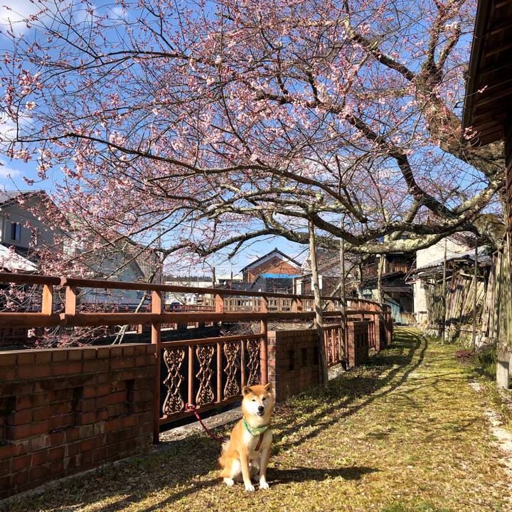 3cd6b1f1 b01f 4b28 ba2d a4b3b573cc72 1554364384356