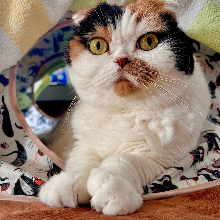 3cd6da1d 7b3c 4b01 b0a6 7fc07aff93d9 1700796581435