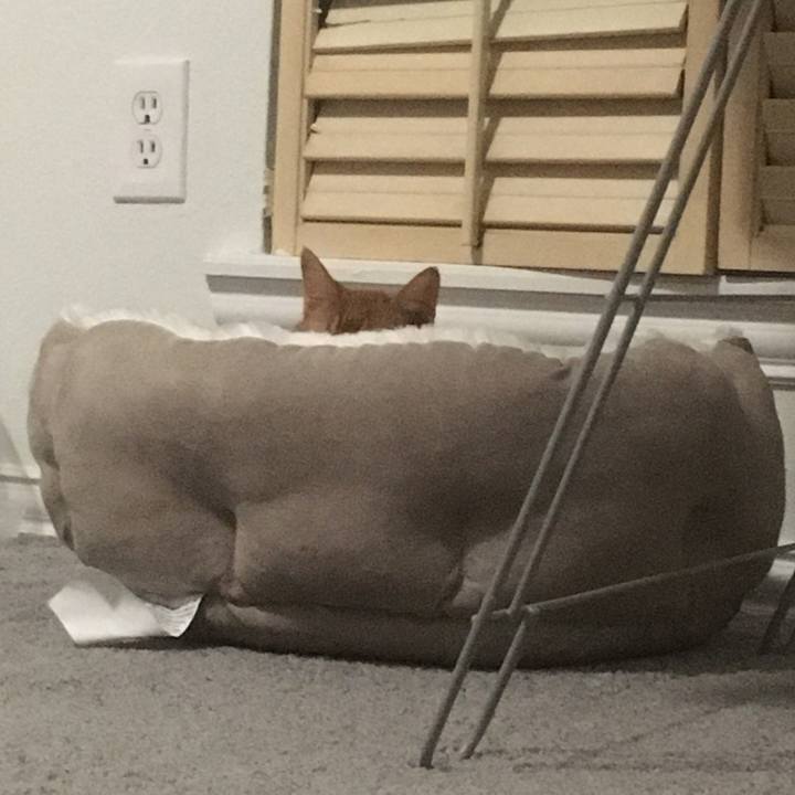 3cd71b17 b7b5 47e2 b1e1 5621e418f526 1649464571948