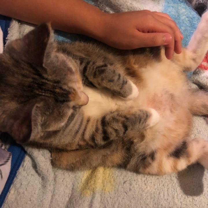 3cd71e8f c384 44c9 a797 58b64811dc80 1596892970549