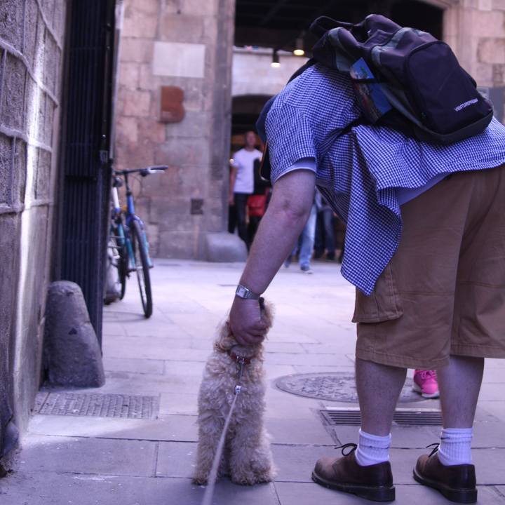 3cd751de 2f5c 4fdc a516 b902292f7c35 1508871784324