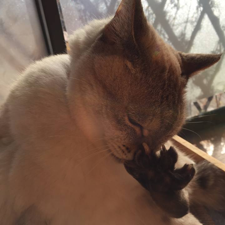 3cd77f6e 1e61 43ec 9a91 f9c25b87e3c2 1545616774325