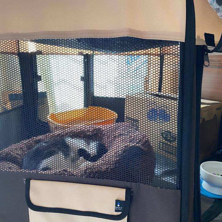 3cd7d39e ebe3 4346 a7ce 71b7fbf5c0be 1604800501273