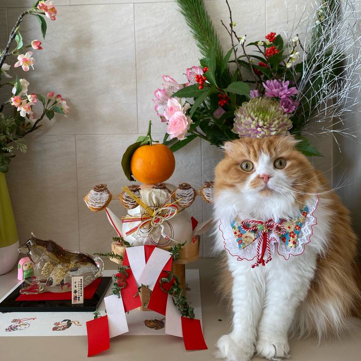 3cd7d50f 32d7 45d9 b82a 18188163a143 1609497691684