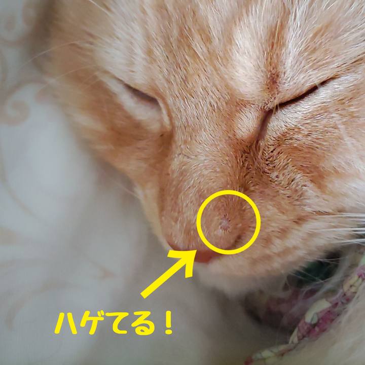 3cd7f997 ef65 4f27 96ad 85d4b4bf79ee 1686625834079