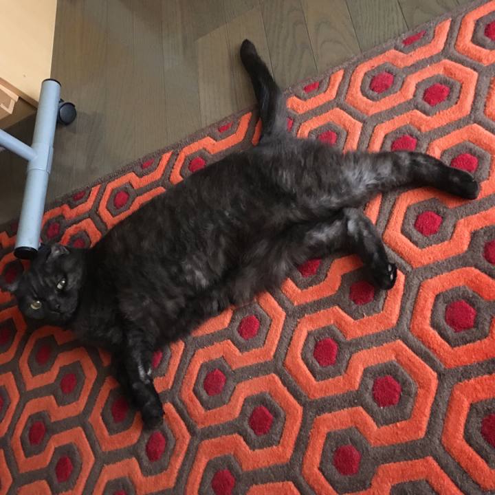 3cd7f9f3 c10e 4ca2 8ad1 917be23c27d7 1555457283429