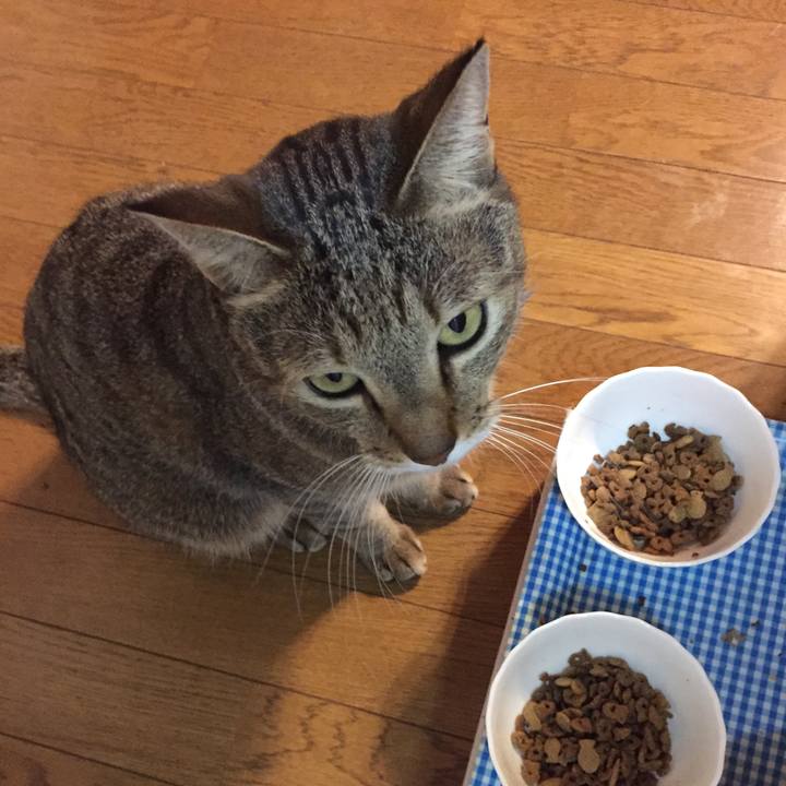 3cd80917 23e3 4da8 9b1f b43bcbf94e39 1508883866823