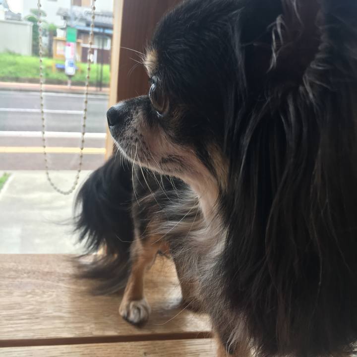 3cd81a3a af4f 450c 8dbc 2169051265b6 1507871942320