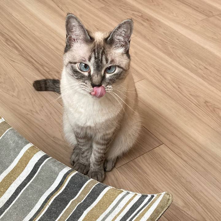 3cd81ad1 66b8 4e8b 9c98 95f7948e378d 1688025559526